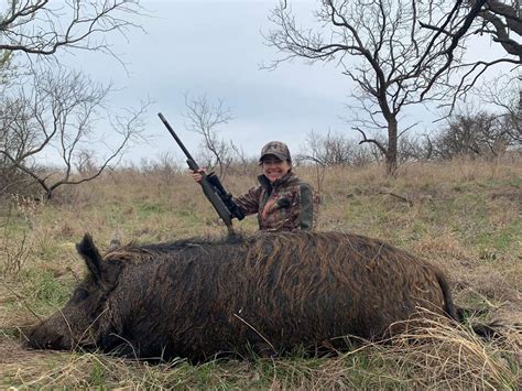 cheap hog hunting trips